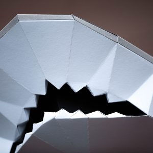 papercraft-requin-04